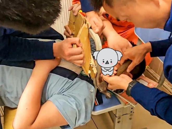 孩子被卡事件频发！武汉消防提醒：加强看护勿忘安全